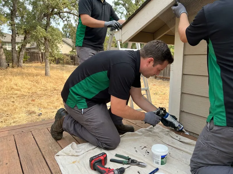 Rodent Control and Exclusion in Rocklin, CA
